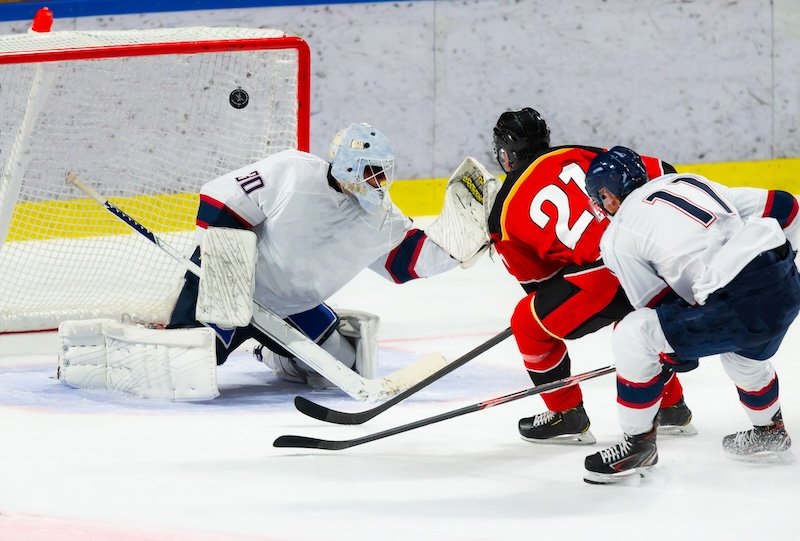 Professional ice hockey players
