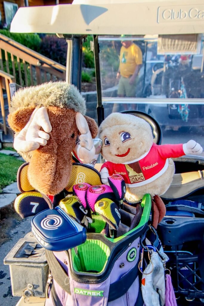 Crazy golf club covers in Boise